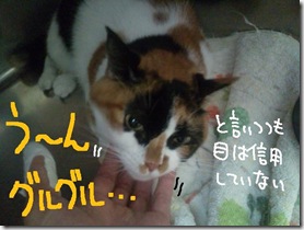 今日セラ１００８０１　４