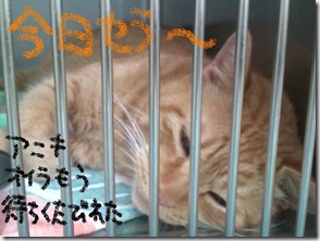 今日セラ１００８０８　１