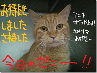今日ゼニ１００８２２　１