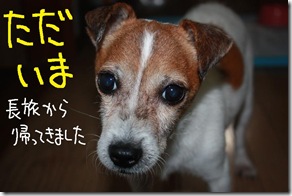 今日ゼニ１００８２８　１