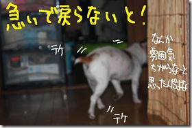 今日ゼニ１００８２８　３
