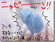 今日ゼニ１００８２８　４