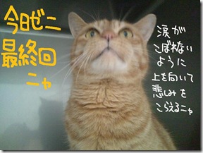 今日ゼニ１００９０５　１