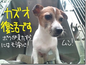 週カズ１００９１９　１
