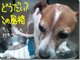 週カズ１００９１９　２