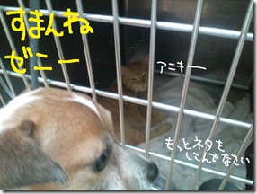 週カズ１００９１９　３
