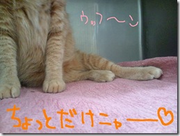 週ゼニ１００９２６　１