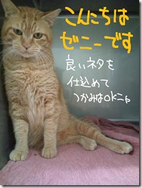 週ゼニ１００９２６　３