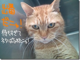 今日ゼニ１０１００９　２