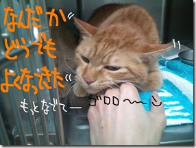 今日ゼニ１０１００９　４