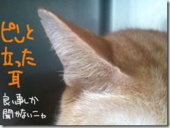 今日ゼニ１０１０２１　２