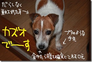 今日ゼニ１０１０２１　４