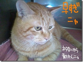 今日ゼニ１０１０２４　１