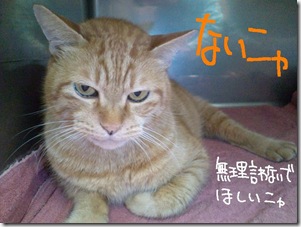 今日ゼニ１０１０２４　２