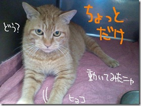 今日ゼニ１０１０２４　４