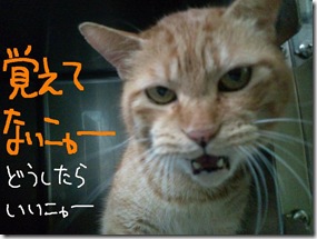 今日ゼニ１０１１０７　２