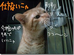 今日ゼニ１０１１０７　３