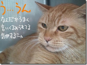 今日ゼニ１０１１１４　４