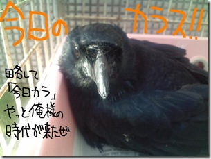 今日ゼニ１０１１２２　１