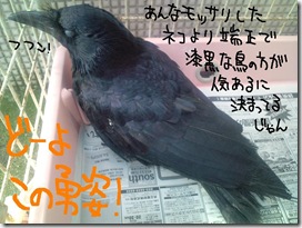 今日ゼニ１０１１２２　２