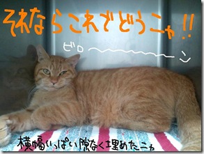 今日ゼニ１０１１２２　４
