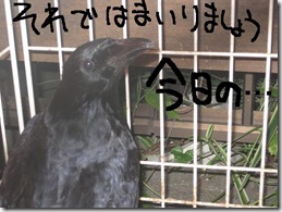 今日ゼニ１０１２０５　１
