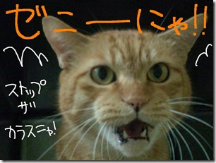 今日ゼニ１０１２０５　２