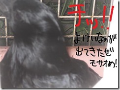 今日ゼニ１０１２０５　３