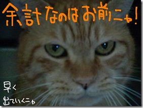 今日ゼニ１０１２０５　４