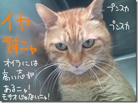今日ゼニ１０１２０５　５