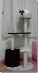 P1000120