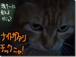 今日ゼニ１０１２１２　１