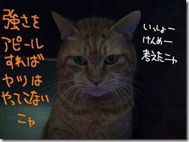 今日ゼニ１０１２１２　２