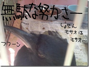 今日ゼニ１０１２１２　３