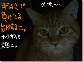 今日ゼニ１０１２１２　４