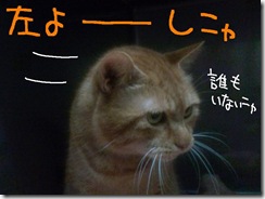今日ゼニ１０１２２３　１