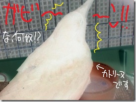 今日ゼニ１０１２２３　５