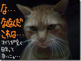今日ゼニ１０１２２３　６