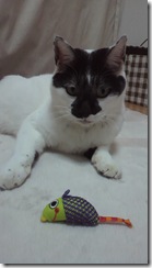 P1020033