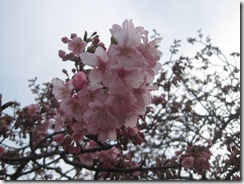 IMG_0067