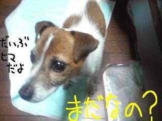 今日カズ　090114 1