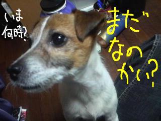 今日カズ　090114 2