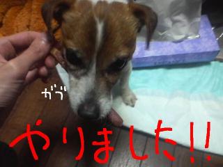 今日カズ090115 9