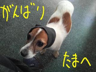 今日カズ090116 1