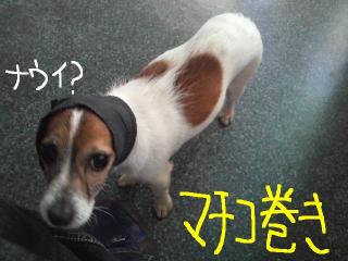 今日カズ090116 2