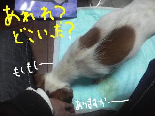 今日カズ090117 9