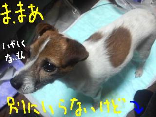 今日カズ090117 10