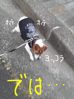 今日カズ090118 3
