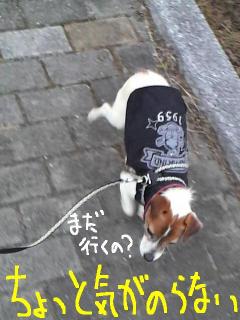 今日カズ090118 4