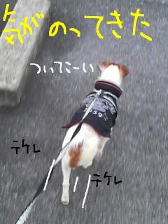 今日カズ090118 5